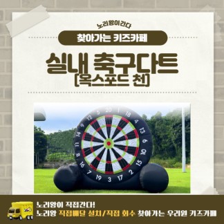 [노리왕이간다] 에어스포츠 실내 축구다트/천